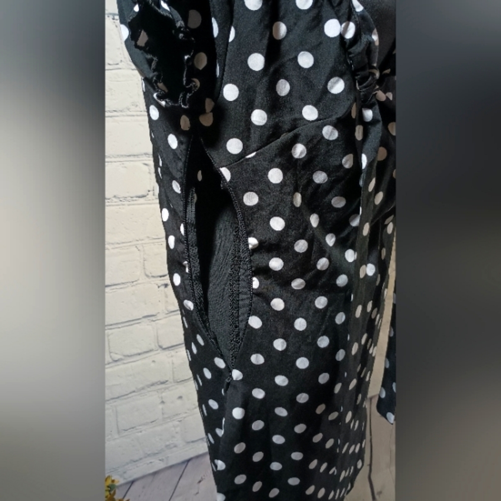 Polka Dot Puff Sleeve Dress - Picture 9 of 12